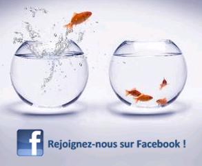 SUIVEZ NOS ACTUALITES SUR FACEBOOK